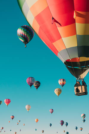 Pretty Hot Air Balloons Wallpaper