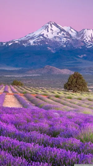 Pretty Mountain Fields Lock Screen Wallpaper