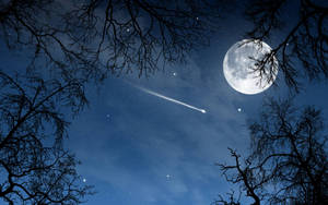 Pretty Shooting Star Image Wallpaper