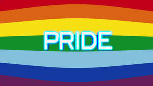 Pride Flag Fish Eye Wallpaper