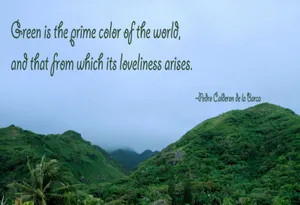 Prime Colorof World Nature Quote Wallpaper