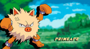 Primeape Pokemon Illustration With Name Wallpaper