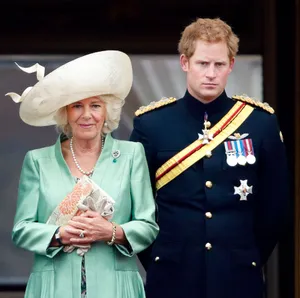 Prince Harry Looking At Camilla Wallpaper