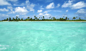 Pristine Aqua Waters On The Sandy Shores Of Bahamas Beach Wallpaper