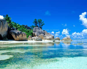 Pristine Beauty Of Seychelles Beach Wallpaper