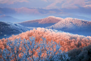 Pristine Blue Ridge Mountains Of North Carolina Wallpaper