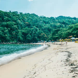 Pristine Brazilian Beach At Sunset Wallpaper