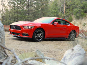 Pristine Ford Mustang Ecoboost On The Road Wallpaper