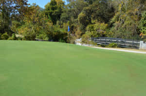 Pristine Golf Green On A Clear Sunny Day Wallpaper