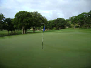 Pristine Golf Green On A Sunny Day Wallpaper