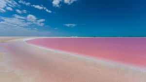 Pristine Pink Beach With Crystal Clear Waters Wallpaper