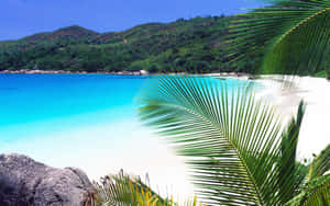 Pristine Shoreline Of Seychelles Beach Wallpaper