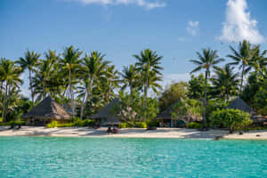 Pristine Tropical Paradise At Bora Bora Beach Wallpaper