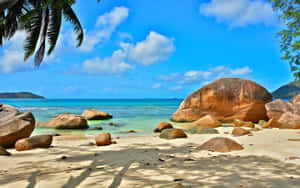 Pristine Tropical Paradise At Seychelles Beach Wallpaper