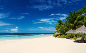 Pristine White Sands And Clear Blue Waters At A Luxurious Maldives Beach Resort Wallpaper