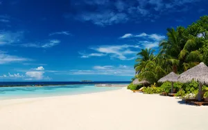 Pristine White Sands And Clear Blue Waters At A Luxurious Maldives Beach Resort Wallpaper