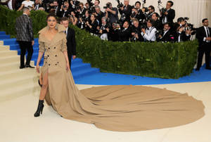 Priyanka Chopra The Met Gala 2017 Wallpaper