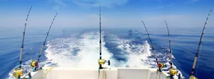 Professional Angler Casting A Fishing Rod At The Serene Lakeside Wallpaper