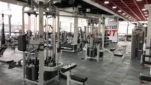 Professional Gym Interior Wallpaper