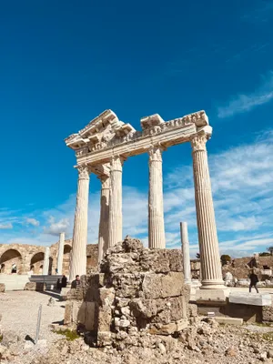 Professional Smartphone On Display Wallpaper