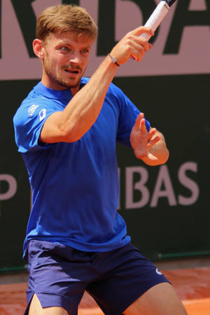 Professional Tennis Player David Goffin, Wearing A Blue Outfit During A Match Wallpaper