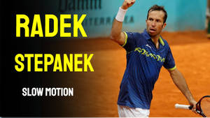 Professional Tennis Player, Radek Stepanek With A Clenched Fist In A Match Wallpaper