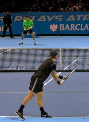 Professional Tennis Star, Tomas Berdych, In Action On The Court Wallpaper