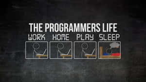 Programmers Life Cycle Illustration Wallpaper