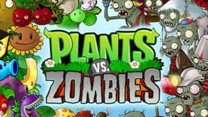 Protect Your Garden And Brain From Zombies Wallpaper