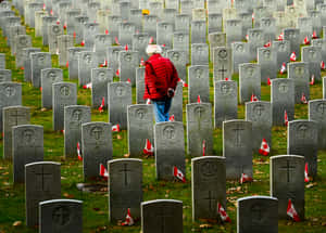 Proud Canadians Paying Homage On Remembrance Day Wallpaper