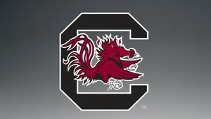 Proud Supporters Of The South Carolina Gamecocks Wallpaper