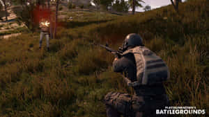 Pubg - A Man Is Shooting A Gun In A Field Wallpaper