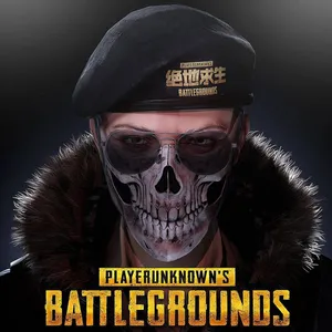Pubg Hd Skull Mask Avatar Wallpaper