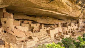 Puebloan Carved Dwelling Mesa Verde National Park Wallpaper