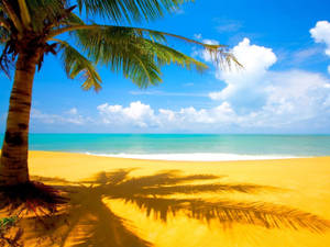 Puerto Rico Relaxing Summer Beach Wallpaper