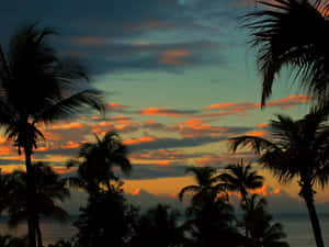 Puerto Rico Sunset Palms Wallpaper