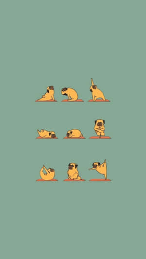 Pug Yoga Positions Wallpaper Wallpaper