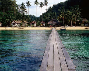 Pulau Kadidi In Sulawesi Wallpaper