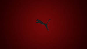 Puma Classic Red Wallpaper