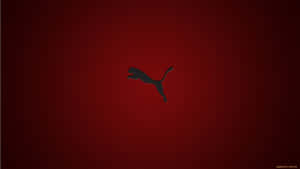 Puma Logo Red Background Wallpaper