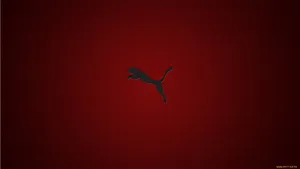 Puma Logo Red Background Wallpaper