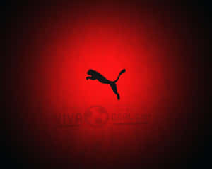 Puma Logo Red Background Wallpaper