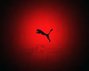 Puma Logo Red Background Wallpaper