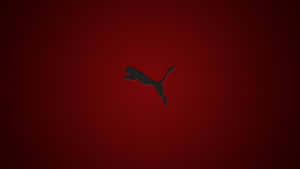 Puma Logoon Red Background Wallpaper