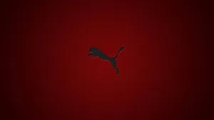 Puma Logoon Red Background Wallpaper