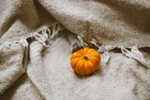 Pumpkin On Canvas Fabric Wallpaper