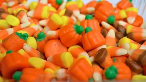 Pumpkins And Corns Candies Wallpaper