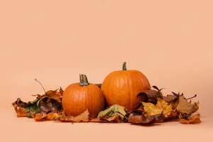 Pumpkins Hd Photography Wallpaper