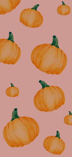 Pumpkins Of Cute Autumn Iphone Wallpaper