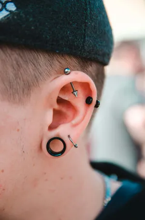Punk Ear Piercingsand Stretching.jpg Wallpaper